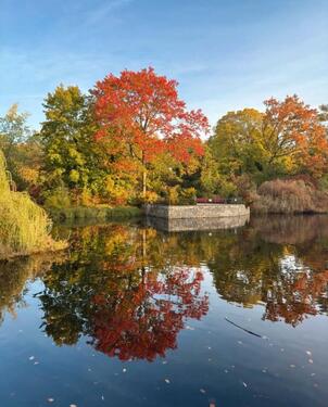 Foto - Hochwertige 3 Zimmer Wohnung mit Balkon - sofort frei