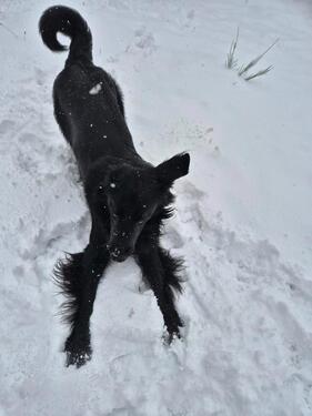 Foto - Kleines Haus oder Erdgeschosswohnung