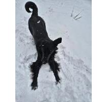 Kleines Haus oder Erdgeschosswohnung - Solms