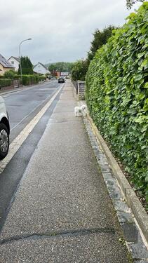 Foto - Einfamilienhaus zum Kaufen in Sulzbach-Rosenberg