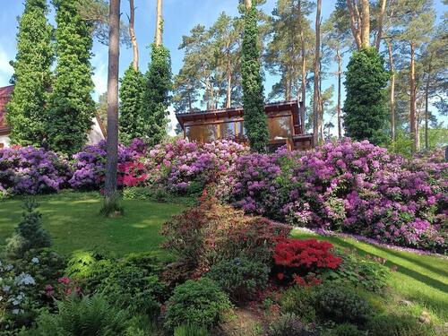 Foto - Ferienhaus & Sauna Arendsee f. 2 Pers. direkt am See