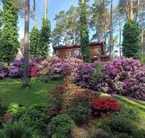 Ferienhaus & Sauna Arendsee f. 2 Pers. direkt am See - Arendsee (Altmark)