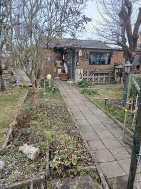 Foto - Strebergarten abzugeben 'in Bleckenstedt'