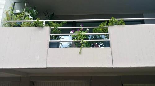 Foto - 