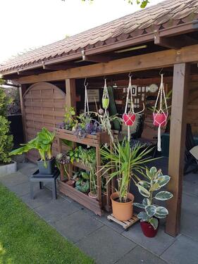 Foto - Mehrfamilienhaus, Wohnhaus in Eilenburg