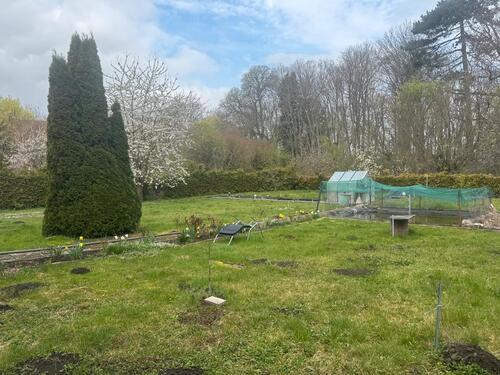 Foto - Bauernhaus, Landhaus in Groß Quenstedt zum Kaufen