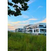 Exklusive 2,5-Zimmer-Wohnung (Balkon & EBK) Bielefeld I Dornberg Exklusive 2,5-Zimmer-Wohnung (Balkon & EBK) Bielefeld I Dornberg