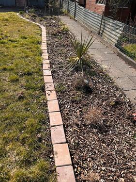 Foto - Grundst&uuml;ck in Wolfenbüttel zur Miete