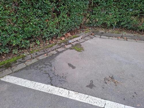 Foto - andere in Mettmann