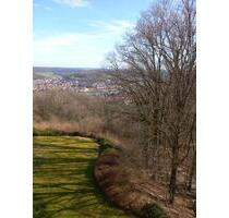 Wohnen wie im Urlaub mit Ausblick auf den Main und Natur - Wertheim