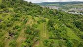 Foto - Zur Pacht: Stückle Gütle Obstwiese Freizeitgrundstück Garten