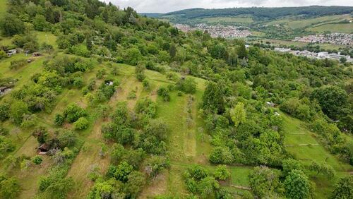 Foto - Zur Pacht: Stückle Gütle Obstwiese Freizeitgrundstück Garten