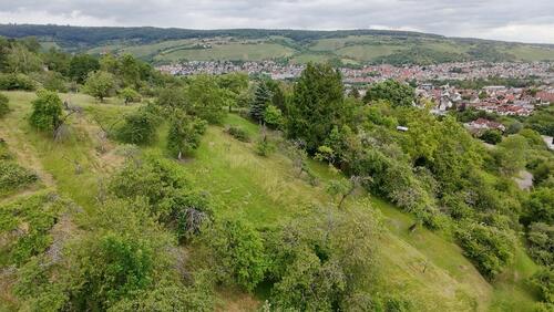 Foto - Grundst&uuml;ck in Remshalden zur Miete
