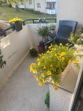 Foto - Etagenwohnung zur Miete in Schöningen