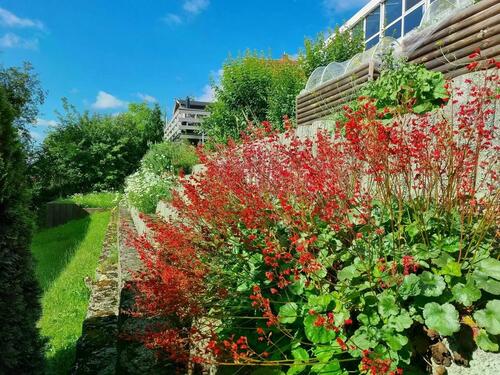 Foto - 8 Zimmer Einfamilienhaus in Schotten