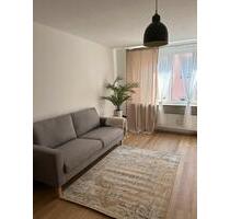 Neu saniertes Business-Apartment - Nürnberg