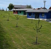 Urlaub im FerienhausTiny House am Bodensee - Freiburg im Breisgau Ebnet