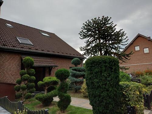 Foto - Einfamilienhaus zum Kaufen in Düsseldorf
