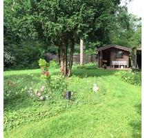 Freistehendes Einfamilienhaus am Stadtwald - Gifhorn