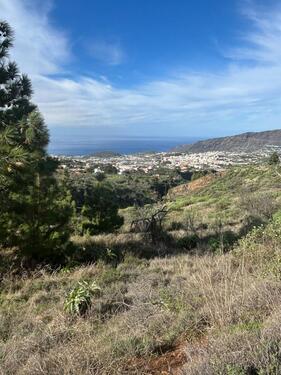 Foto - Grundstück Kanareninsel La Palma von Privat