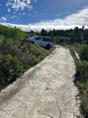 Foto - andere in Darmstadt