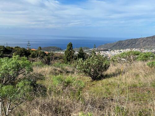 Foto - andere in Darmstadt zur Miete