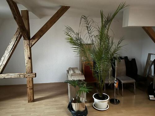 Foto - 3-Raum-Wohnung 100m² Großenhain, zentrale Lage, 2. OG, Küche mgl