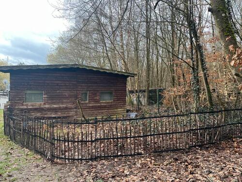 Foto - Garten Grundstück Parzelle Wiese Freizeitgrundstück Wald survival