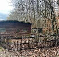 Garten Grundstück Parzelle Wiese Freizeitgrundstück Wald survival - Usingen