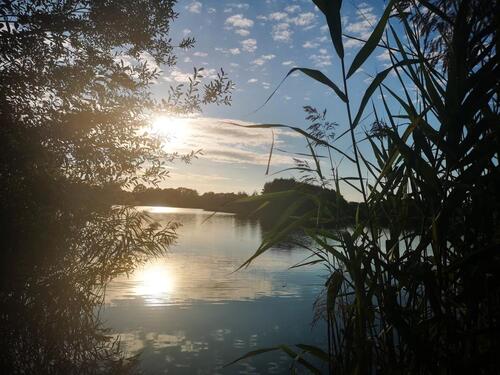 Foto - andere in Seelow