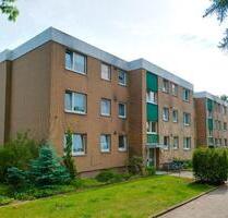 Renovierte 3-Zimmer-Wohnung in Haste frei! - Osnabrück Eversburg