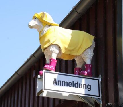 Foto - andere in Meldorf
