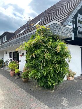 Foto - Einfamilienhaus in Krefeld Traar