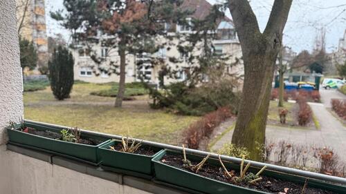 Foto - 4 Zimmer Hochparterre in Berlin