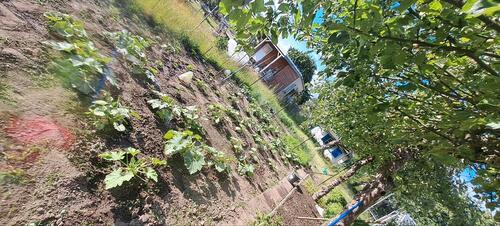 Foto - Garten abgeben - 2.500,00 EUR Kaltmiete, ca.  0,00 m²