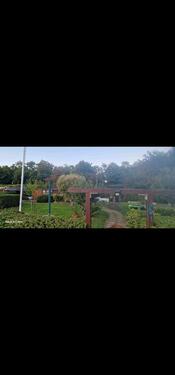 Foto - Grundst&uuml;ck zur Miete in Wilhelmshaven