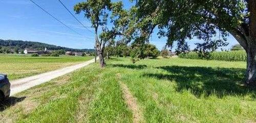 Foto - Freizeitgrundstück_ Gartenhaus Günstig Absolute Diskretion. MUST BUY!