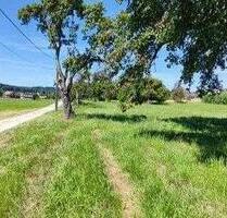 Freizeitgrundstück_ Gartenhaus Günstig Absolute Diskretion. MUST BUY! - Singen (Hohentwiel)