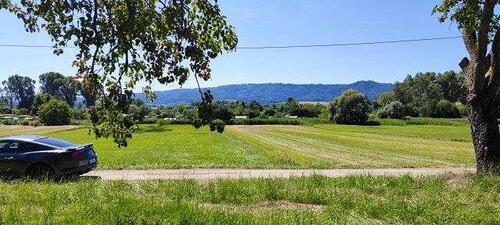 Foto - Grundst&uuml;ck zum Kaufen in Singen (Hohentwiel)