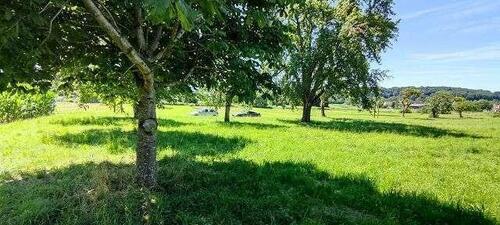 Foto - Grundst&uuml;ck in Singen (Hohentwiel)