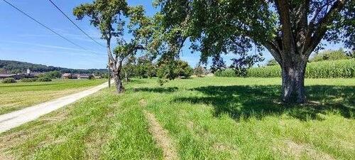 Foto - Grundst&uuml;ck in Singen (Hohentwiel) zum Kaufen