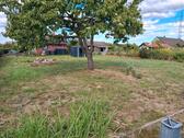 Foto - Kleingarten 450qm in BS Süd - 35,00 EUR Kaltmiete, ca.  0,00 m²