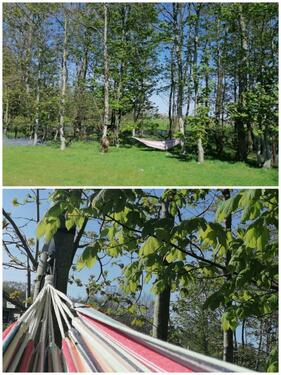 Foto - andere in Mülheim an der Ruhr zur Miete