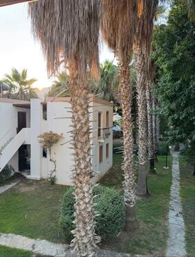 Foto - andere in Langenhagen