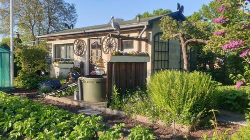 Foto - Kleingarten abzugeben - 9.000,00 EUR Kaltmiete, ca.  0,00 m²