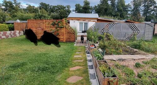 Foto - Pacht Garten abzugeben in Borsdorf