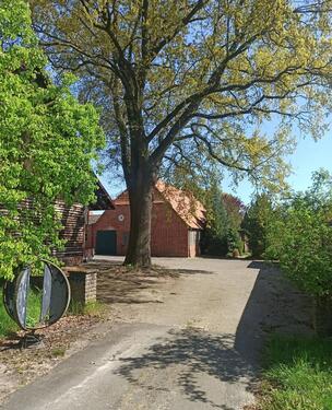 Foto - Ehemaliger Bauernhof mit Wiese, Alleinlage