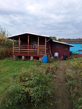 Foto - netter kleiner Garten abzugeben
