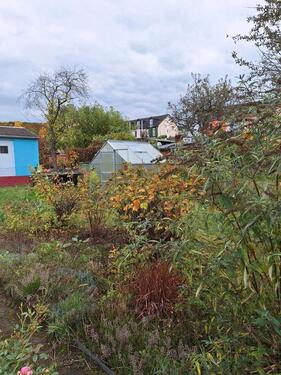 Foto - Grundst&uuml;ck zur Miete in Chemnitz