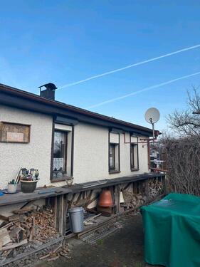 Foto - Grundst&uuml;ck in Halberstadt zur Miete